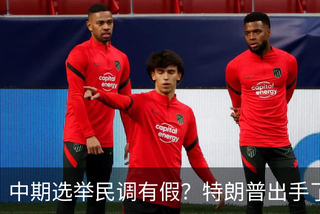 中期选举民调有假？特朗普出手了