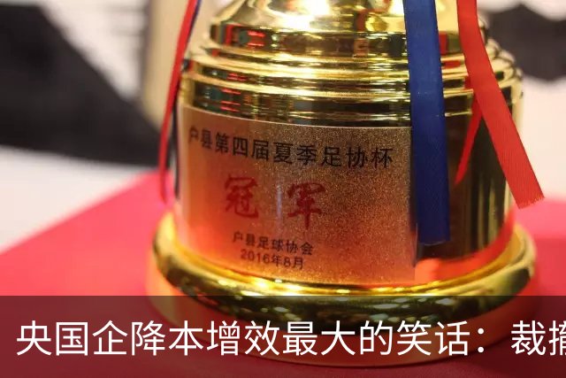 央国企降本增效最大的笑话：裁撤正式员工，却砸大钱买外包！
