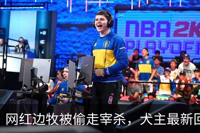 网红边牧被偷走宰杀，犬主最新回应：对方赔偿30万元，我将一分不留全捐出去！